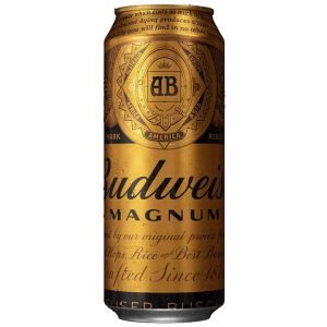Budweiser magnum price in bangalore (Karnataka) 2021-2022